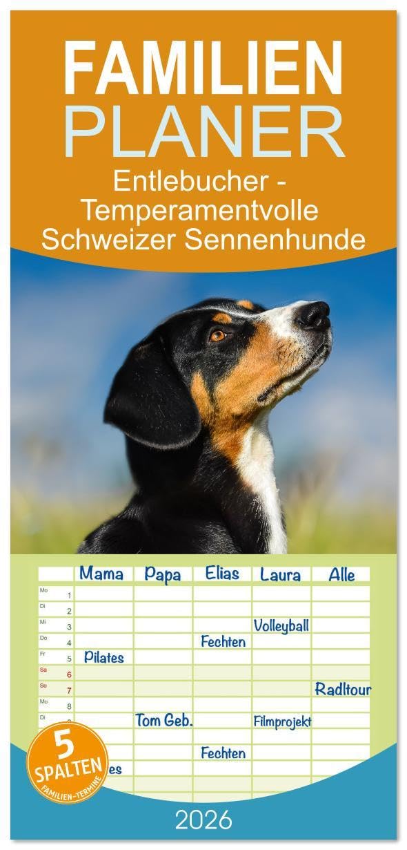 Familienplaner 2026 - Entlebucher - Temperamentvolle Schweizer Sennenhunde mit 5 Spalten (Wandkalender, 21 x 45 cm) CALVENDO: Entlebucher, der Kleinste der 4 Schweizer Sennenhundrassen (CALVENDO Orte) Film, Art & Culture