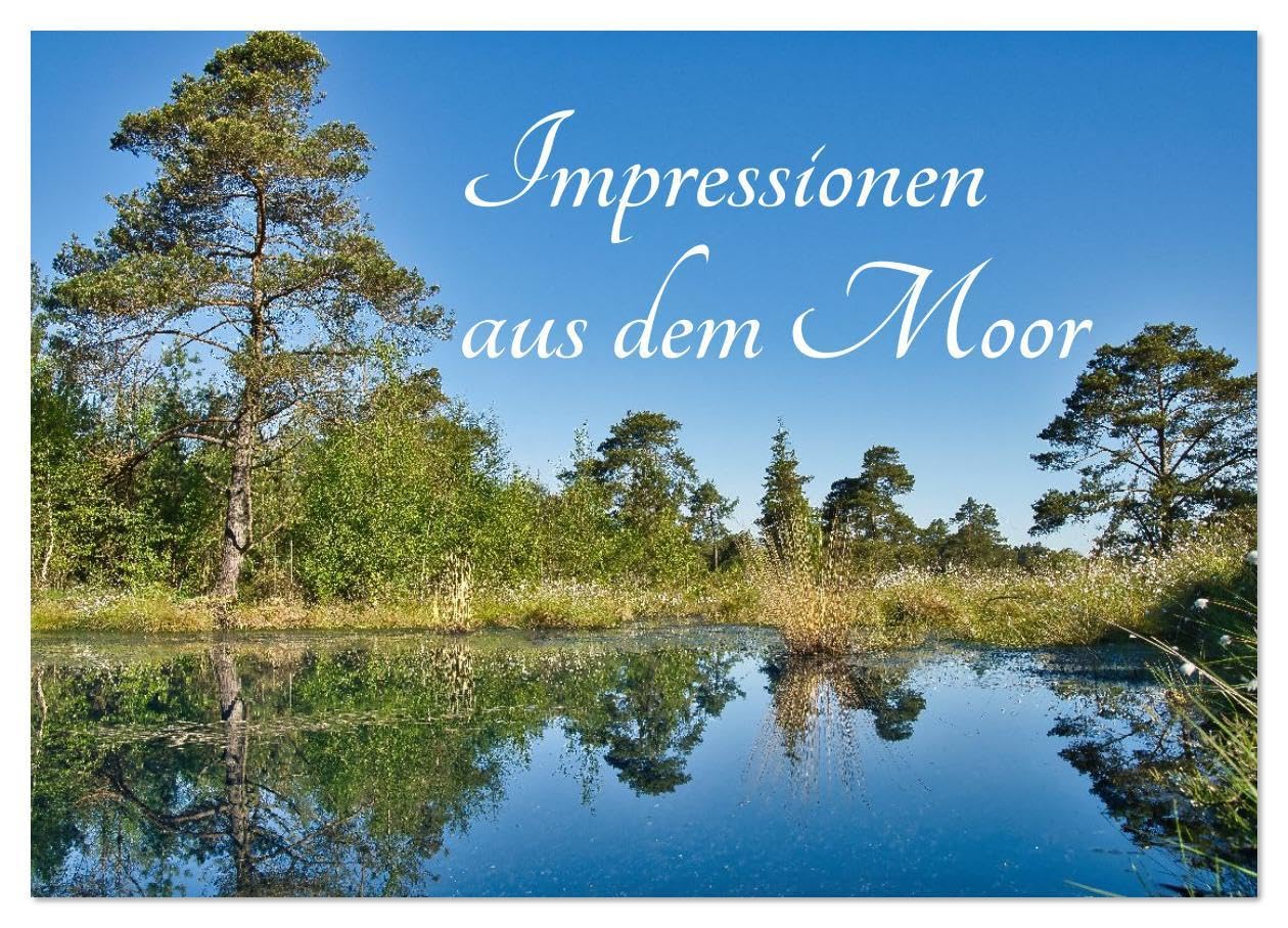 Impressionen aus dem Moor (Wandkalender 2026 DIN A4 quer), CALVENDO Monatskalender: Ein Jahr voller Geheimnisse und Schönheit (CALVENDO Natur) Film, Art & Culture