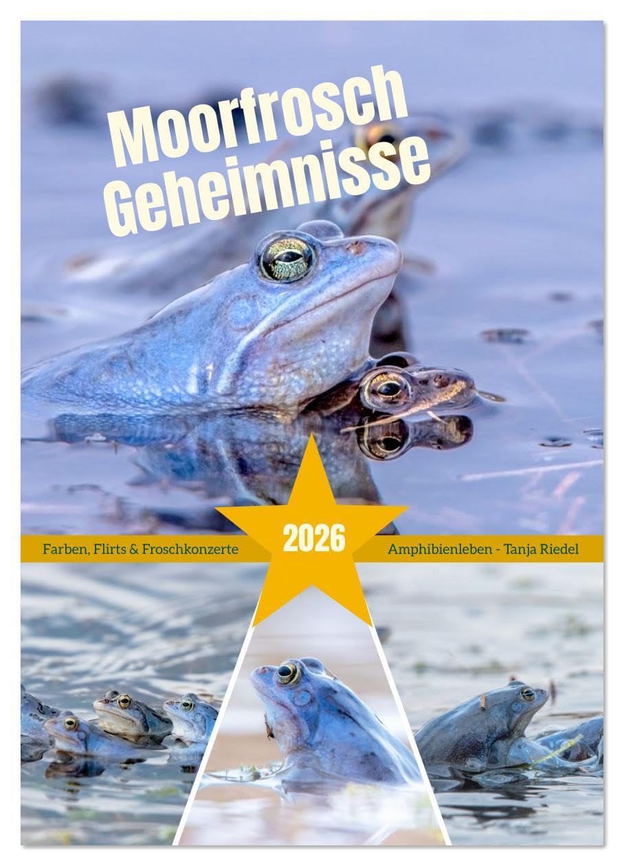 Moorfrosch Geheimnisse – Farben, Flirts & Froschkonzerte - Tanja Riedel (Wandkalender 2026 DIN A3 hoch), CALVENDO Monatskalender: Ein faszinierendes ... und exklusiv fotografiert. (CALVENDO Tiere) Business & Technology