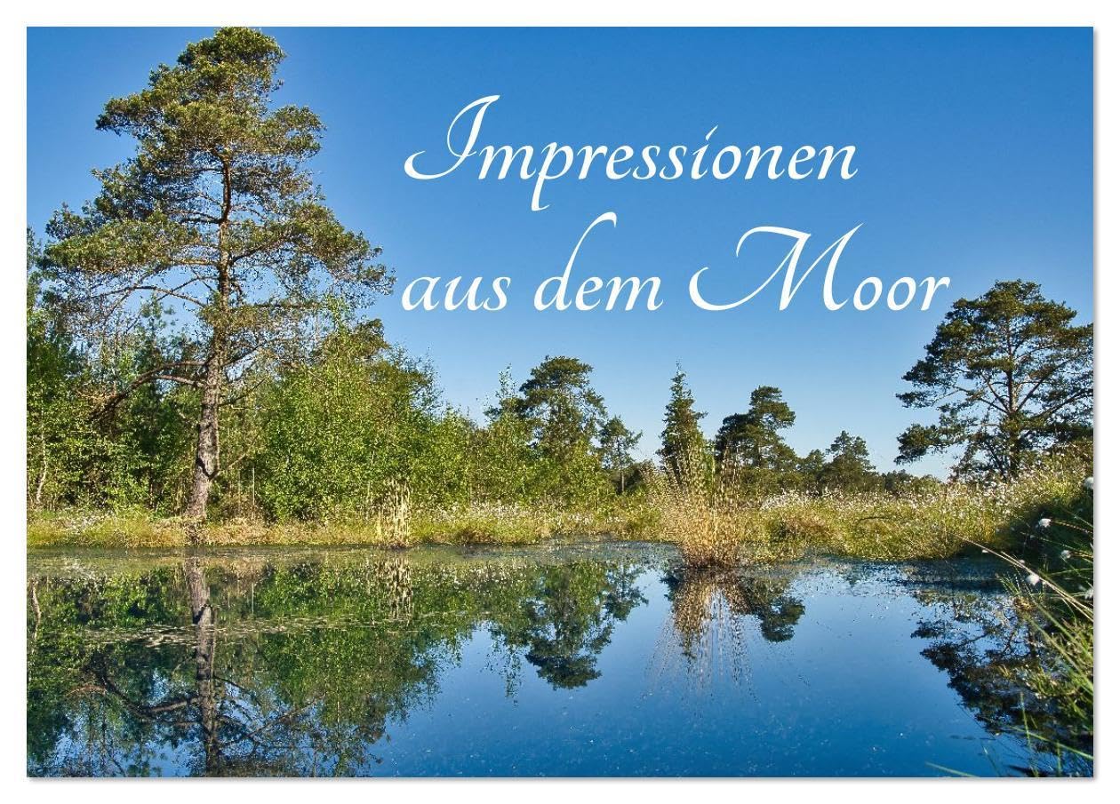 Impressionen aus dem Moor (Tischkalender 2026 DIN A5 quer), CALVENDO Monatskalender: Ein Jahr voller Geheimnisse und Schönheit (CALVENDO Natur) Film, Art & Culture