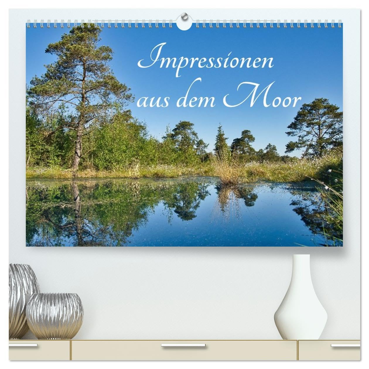 Impressionen aus dem Moor (hochwertiger Premium Wandkalender 2026 DIN A2 quer), Kunstdruck in Hochglanz: Ein Jahr voller Geheimnisse und Schönheit (CALVENDO Natur) Film, Art & Culture