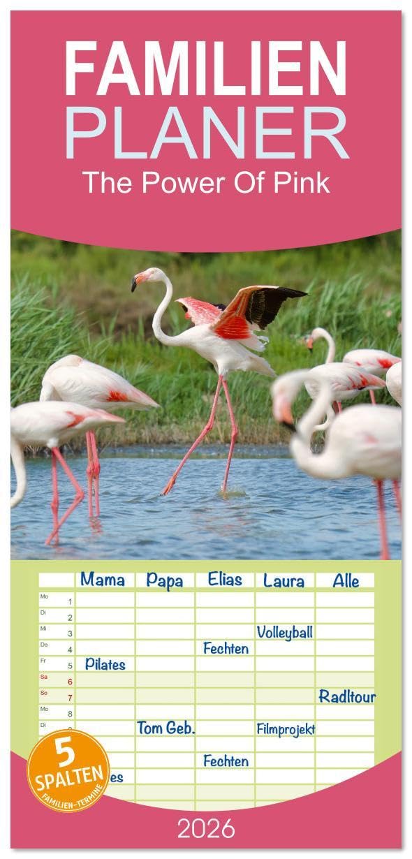 Familienplaner 2026 - The Power Of Pink mit 5 Spalten (Wandkalender, 21 x 45 cm) CALVENDO: Die Flamingos der Camargue (CALVENDO Tiere) Photography