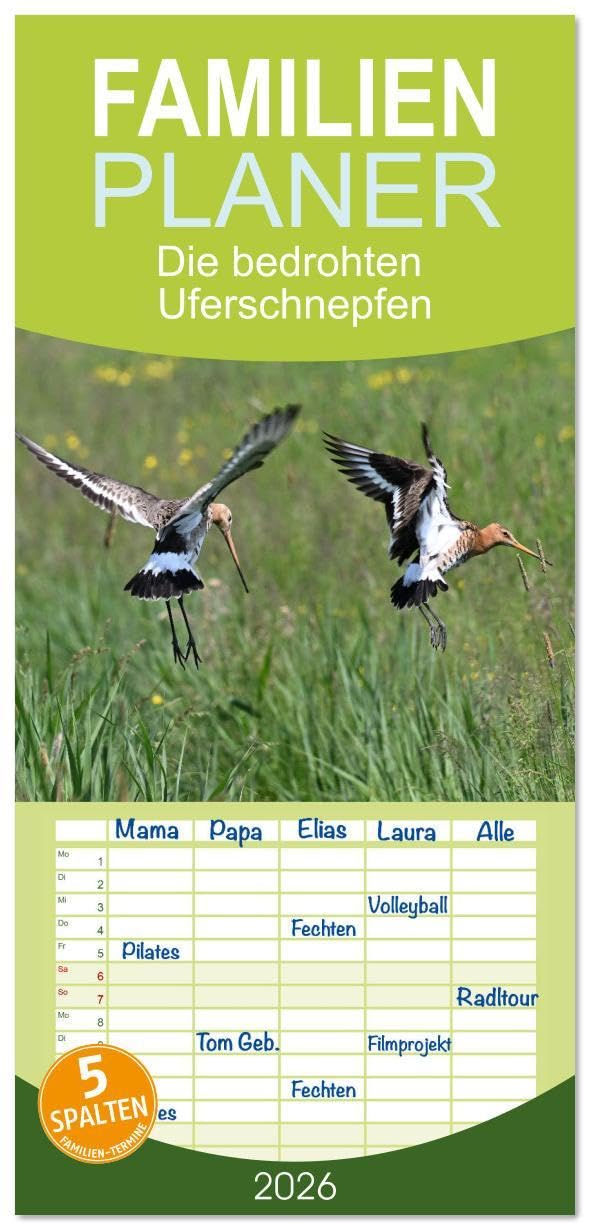 Familienplaner 2026 - Die bedrohten Uferschnepfen mit 5 Spalten (Wandkalender, 21 x 45 cm) CALVENDO: Naturdokumentation des ganz alltäglichen Lebens der Uferschnepfen. (CALVENDO Tiere) Natural Sciences