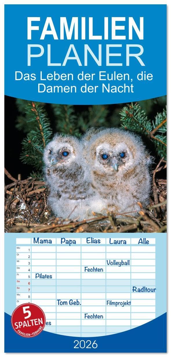 Familienplaner 2026 - Das Leben der Eulen, die Damen der Nacht mit 5 Spalten (Wandkalender, 21 x 45 cm) CALVENDO: Auf Entdeckungsreise zu den Eulen (CALVENDO Orte) Natural Sciences