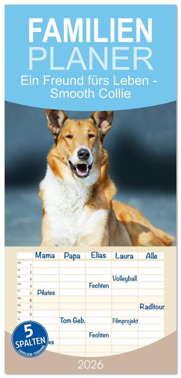 Familienplaner 2026 - Ein Freund fürs Leben - Smooth Collie mit 5 Spalten (Wandkalender, 21 x 45 cm) CALVENDO: In wunderschönen Fotos stellt uns die ... den Kurzhaar-Collie vor (CALVENDO Tiere) Natural Sciences