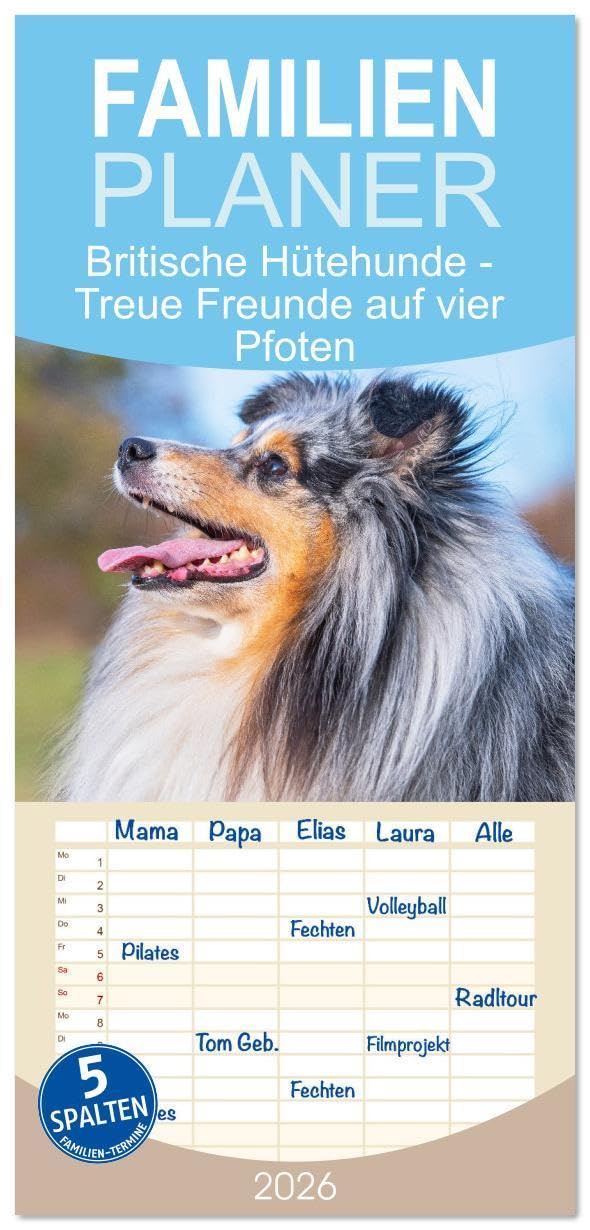 Familienplaner 2026 - Britische Hütehunde - Treue Freunde auf vier Pfoten mit 5 Spalten (Wandkalender, 21 x 45 cm) CALVENDO: In wunderschönen Fotos ... Großbritanniens vor (CALVENDO Tiere) Natural Sciences