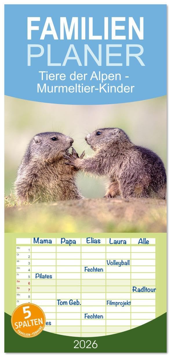 Familienplaner 2026 - Tiere der Alpen - Murmeltier-Kinder mit 5 Spalten (Wandkalender, 21 x 45 cm) CALVENDO: Herzige Bilder vom Murmeltier-Nachwuchs (CALVENDO Tiere) Leisure, Home & Garden
