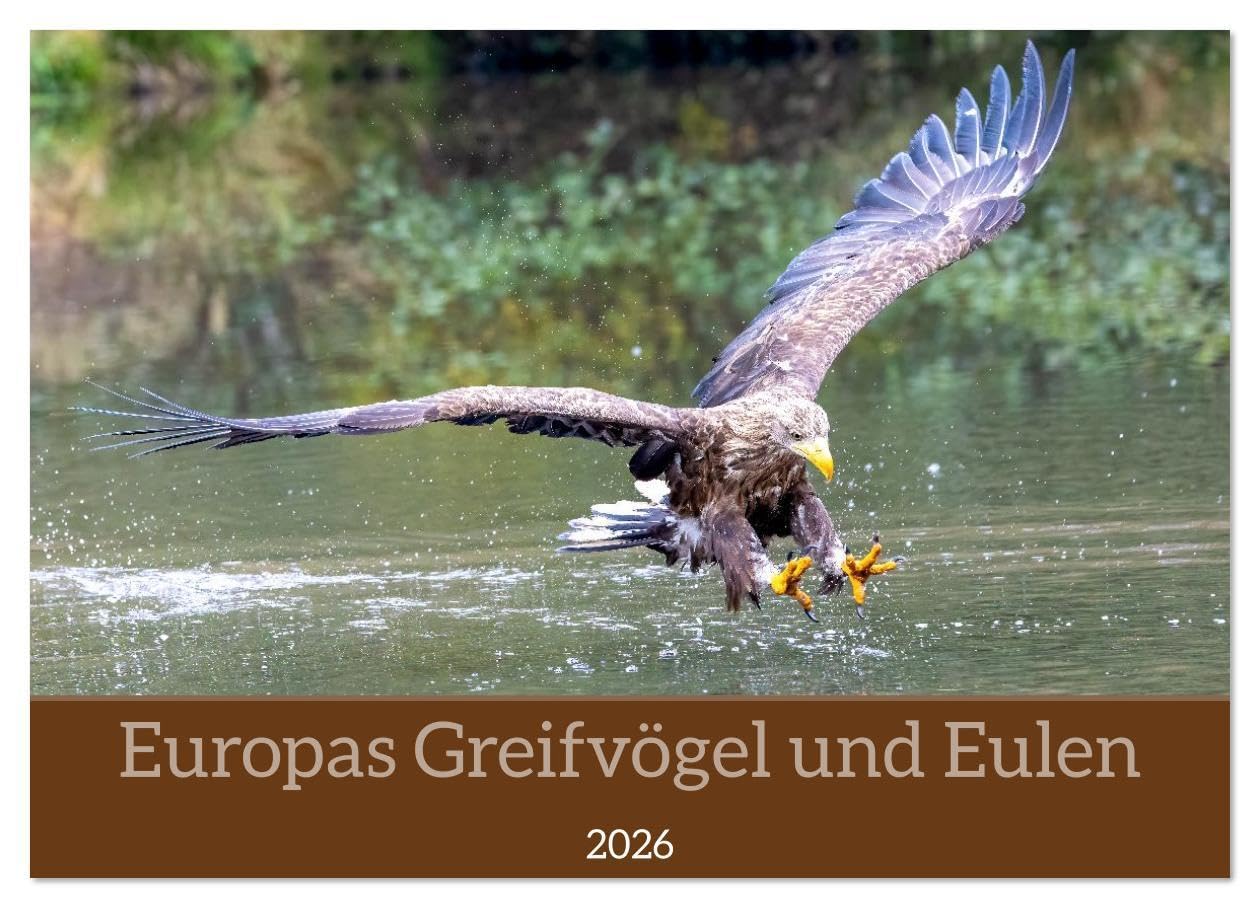 Europas Greifvögel und Eulen (Wandkalender 2026 DIN A3 quer), CALVENDO Monatskalender: Ein Jahr voller eindrucksvoller Flugakrobaten und lautloser ... elegant und geheimnisvoll (CALVENDO Tiere) Living & Furnishing