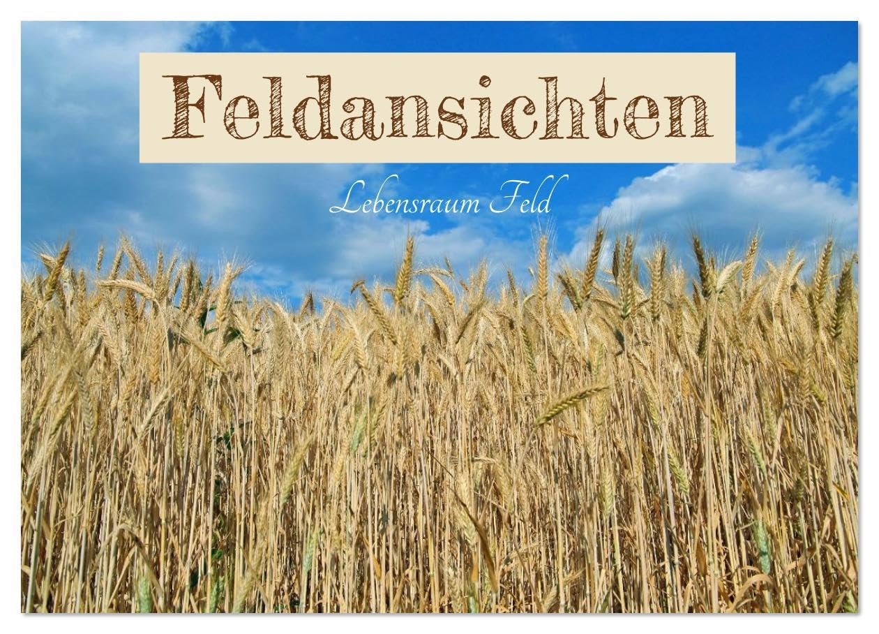 Feldansichten (Wandkalender 2026 DIN A2 quer), CALVENDO Monatskalender: Schöne Ansichten von Feldern im Frühling, Sommer und Herbst (CALVENDO Natur) Social Sciences