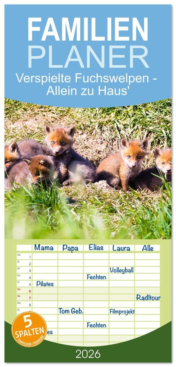 Familienplaner 2026 - Verspielte Fuchswelpen - Allein zu Haus' mit 5 Spalten (Wandkalender, 21 x 45 cm) CALVENDO: Fuchswelpen entdecken die Welt (CALVENDO Tiere) Natural Sciences
