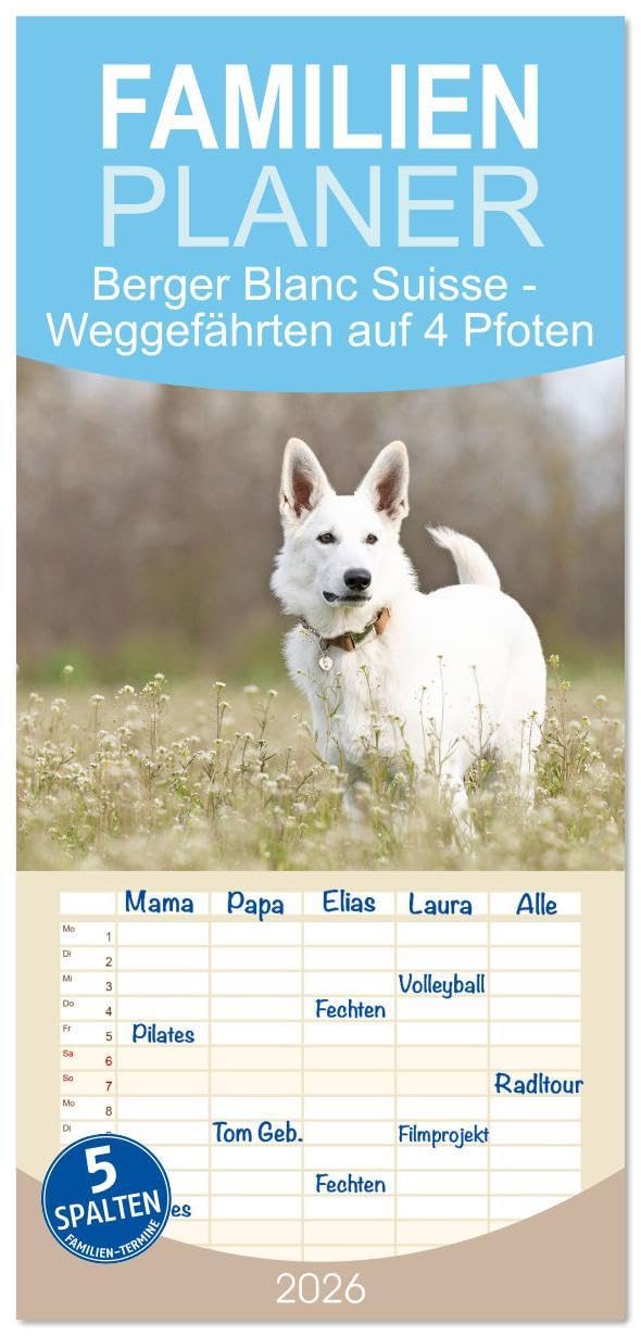 Familienplaner 2026 - Berger Blanc Suisse - Weggefährten auf 4 Pfoten mit 5 Spalten (Wandkalender, 21 x 45 cm) CALVENDO: Der Berger Blanc Suisse, ein ... FCI anerkannte Hunderasse. (CALVENDO Tiere) Living & Furnishing