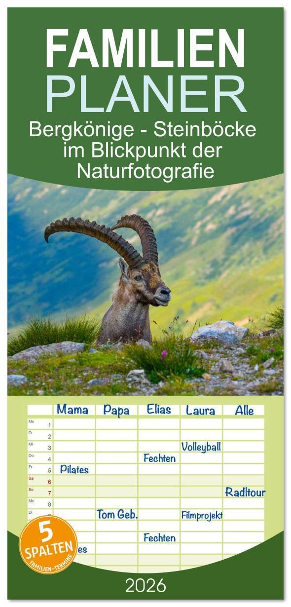 Familienplaner 2026 - Bergkönige - Steinböcke im Blickpunkt der Naturfotografie mit 5 Spalten (Wandkalender, 21 x 45 cm) CALVENDO: Steinböcke erklimmen unbeirrt die Gipfel ihrer Ziele (CALVENDO Tiere) Natural Sciences