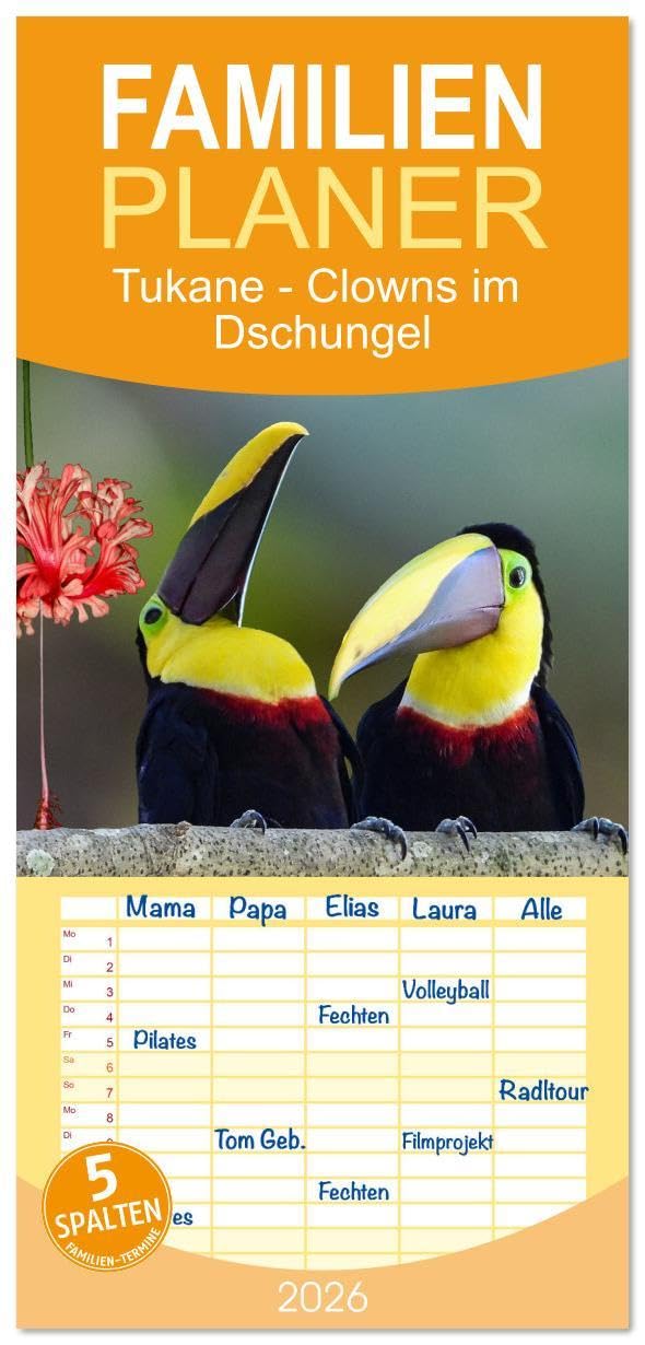 Familienplaner 2026 - Tukane - Clowns im Dschungel mit 5 Spalten (Wandkalender, 21 x 45 cm) CALVENDO: Bunte Schreihälse im Dschungel (CALVENDO Tiere) Natural Sciences