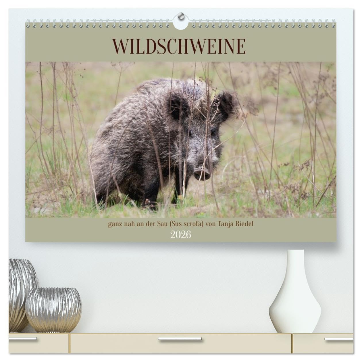 Wildschweine ganz nah an der Sau (Sus scrofa) von Tanja Riedel (hochwertiger Premium Wandkalender 2026 DIN A2 quer), Kunstdruck in Hochglanz: Echte ... und unverstellt (CALVENDO Tiere) Leisure, Home & Garden