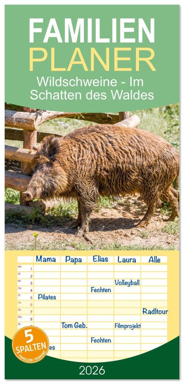 Familienplaner 2026 - Wildschweine - Im Schatten des Waldes mit 5 Spalten (Wandkalender, 21 x 45 cm) CALVENDO: Wilde Schönheit liegt oft direkt vor ... durchs Unterholz. (CALVENDO Tiere) Natural Sciences