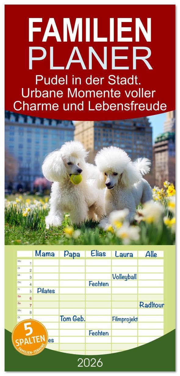 Familienplaner 2026 - Pudel in der Stadt. Urbane Momente voller Charme und Lebensfreude mit 5 Spalten (Wandkalender, 21 x 45 cm) CALVENDO: Das urbane ... in tollen Illustrationen (CALVENDO Tiere) Living & Furnishing