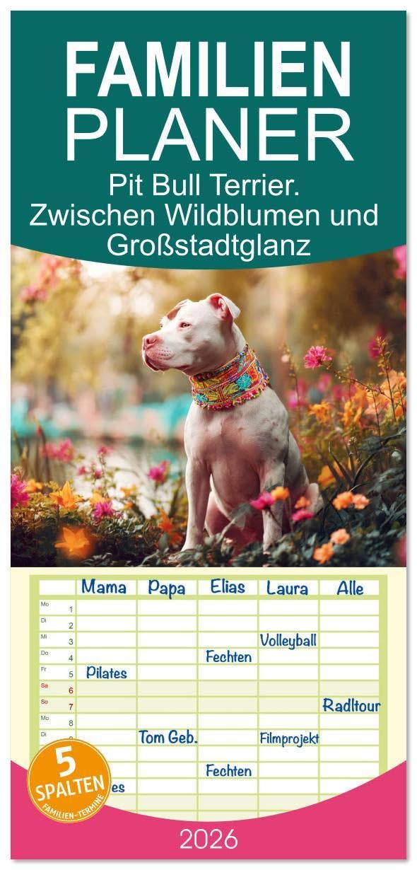 Familienplaner 2026 - Pit Bull Terrier. Zwischen Wildblumen und Großstadtglanz mit 5 Spalten (Wandkalender, 21 x 45 cm) CALVENDO: Farbenfrohen Bilder ... Fröhlichkeit und Schönheit (CALVENDO Tiere) Living & Furnishing