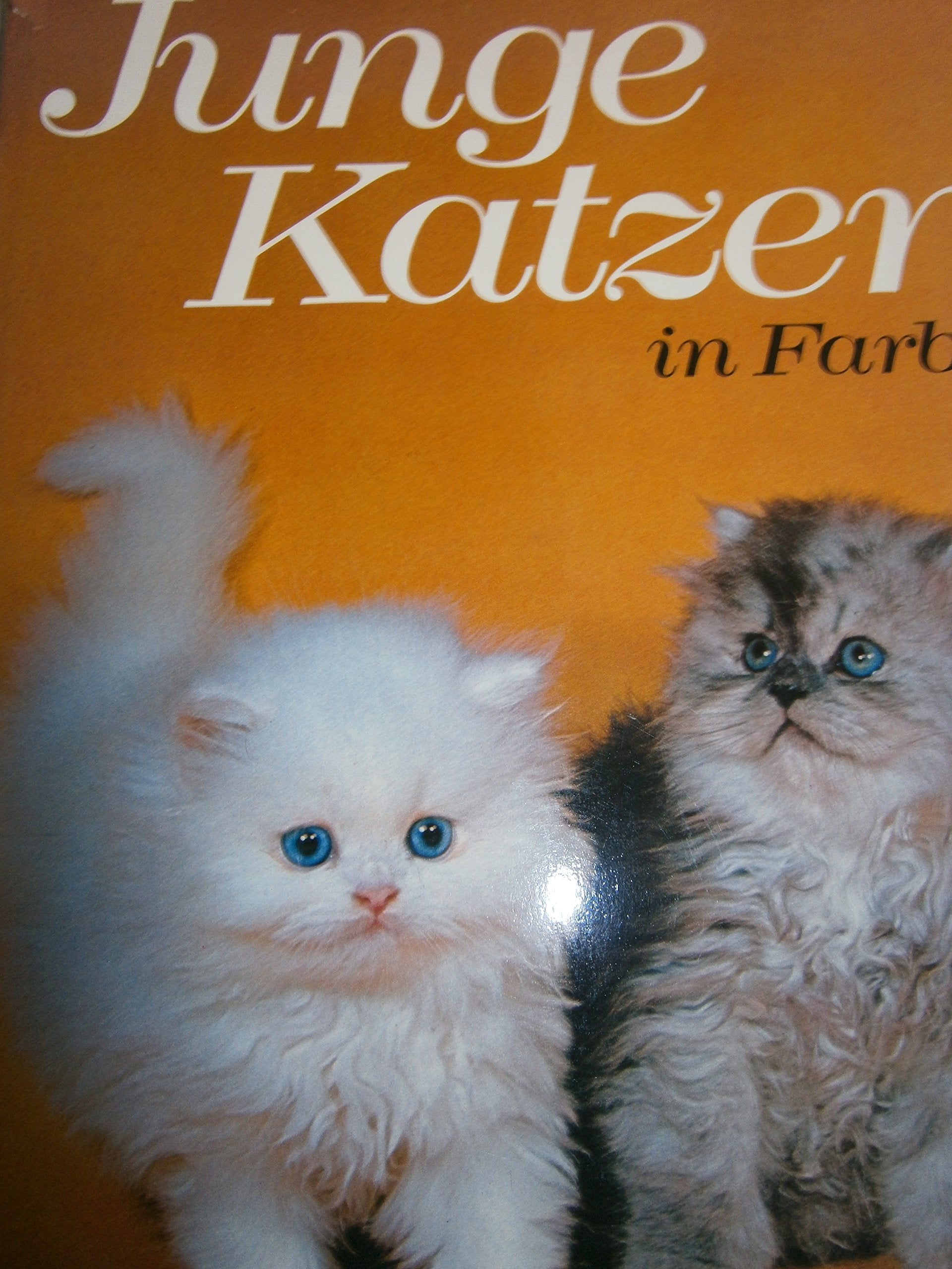 Junge Katzen in Farbe Second-hand books on film, art and culture