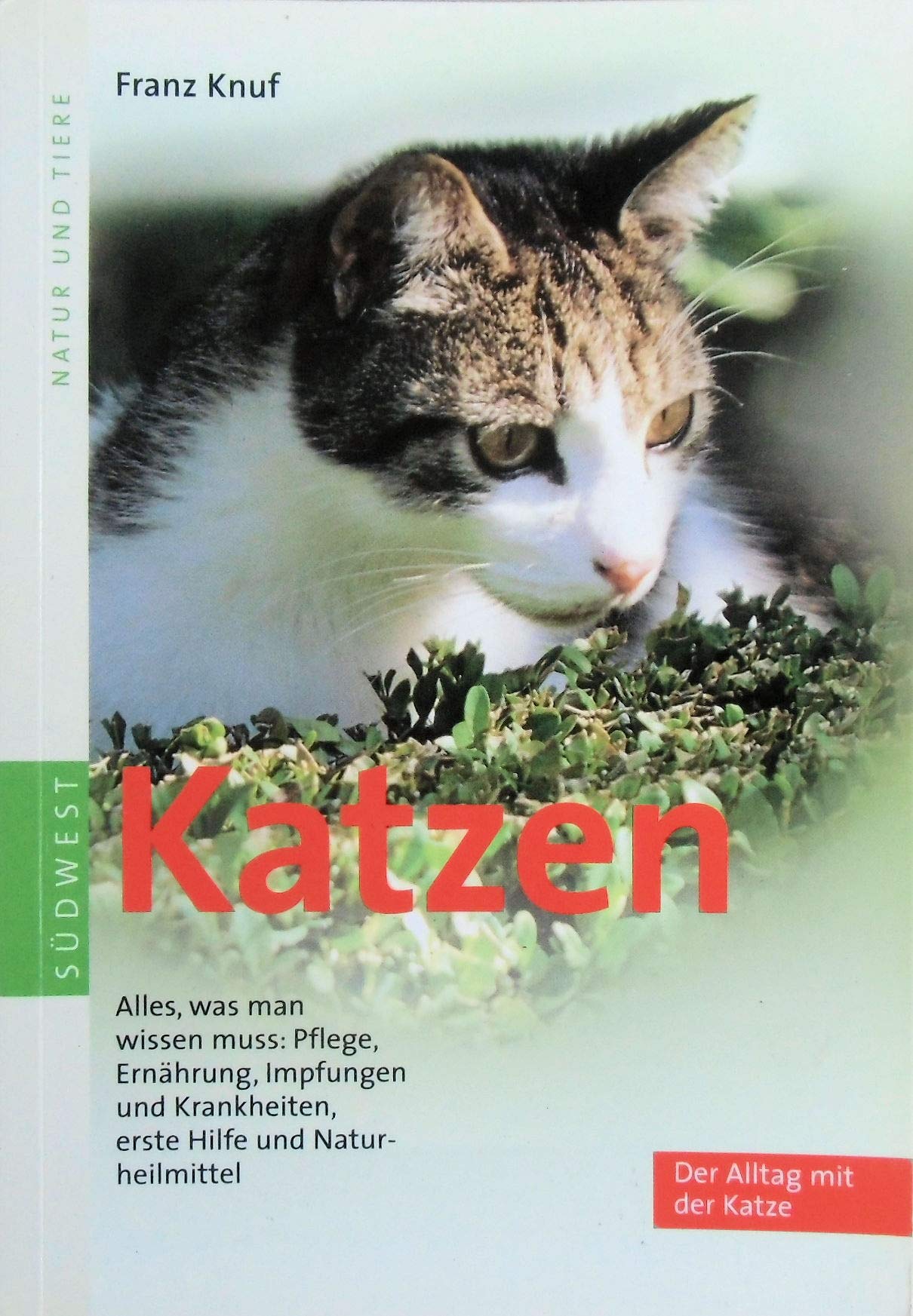 Katzen: Alles was man wissen muss Pets