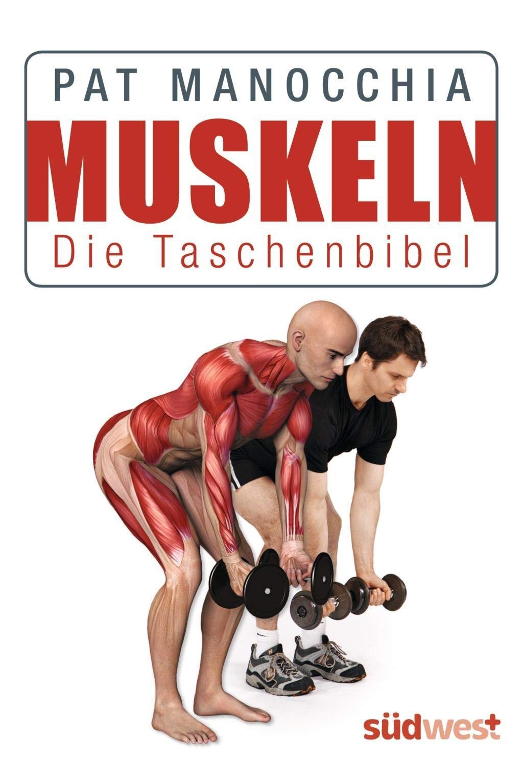 Muskeln - Die Taschenbibel Health, Nutrition & Fitness