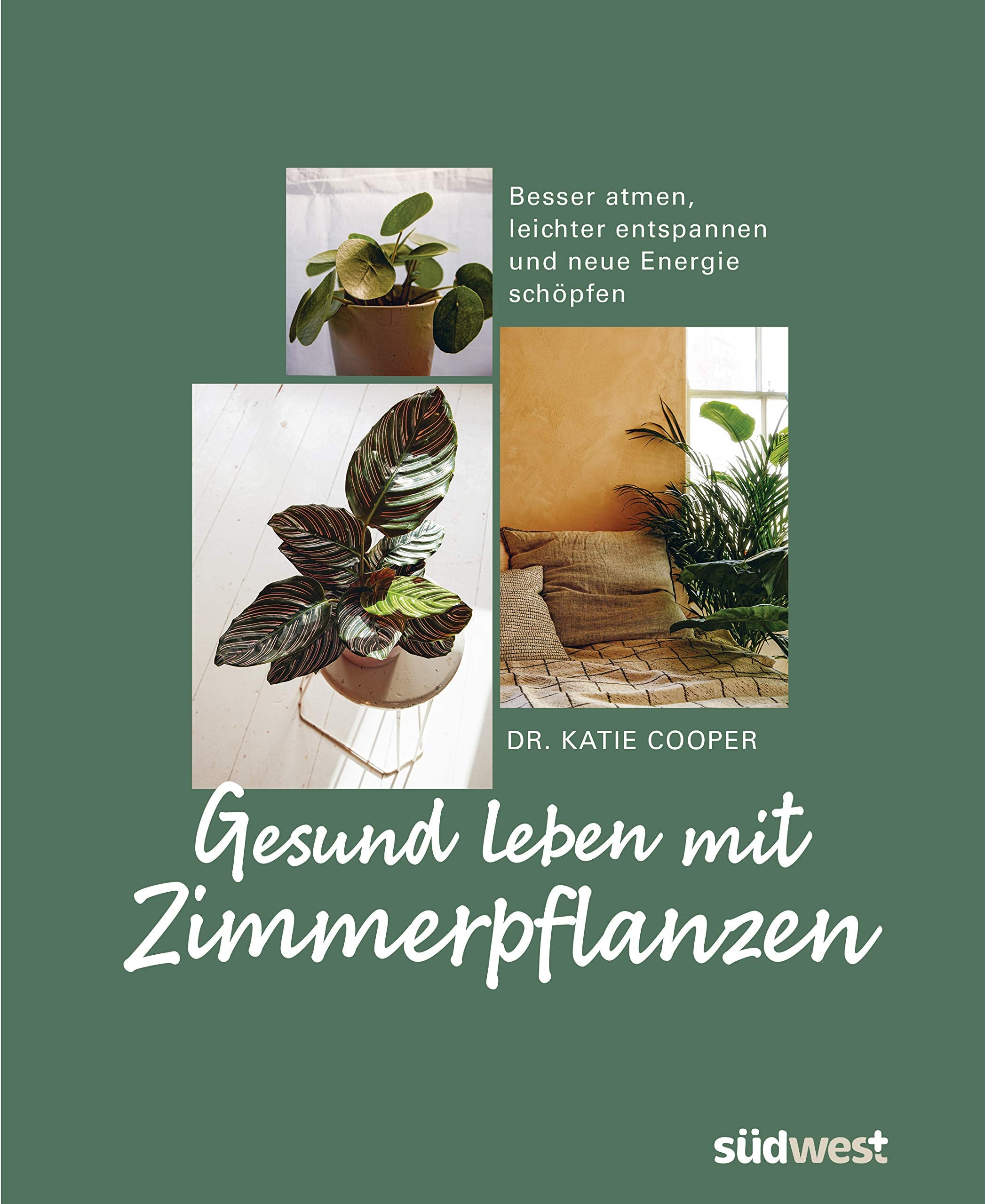 Gesund leben mit Zimmerpflanzen Social Sciences