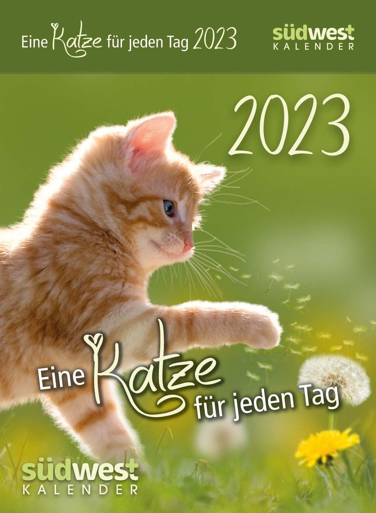 Eine Katze für jeden Tag 2023 - Tagesabreißkalender zum Aufstellen oder Aufhängen Lifestyle