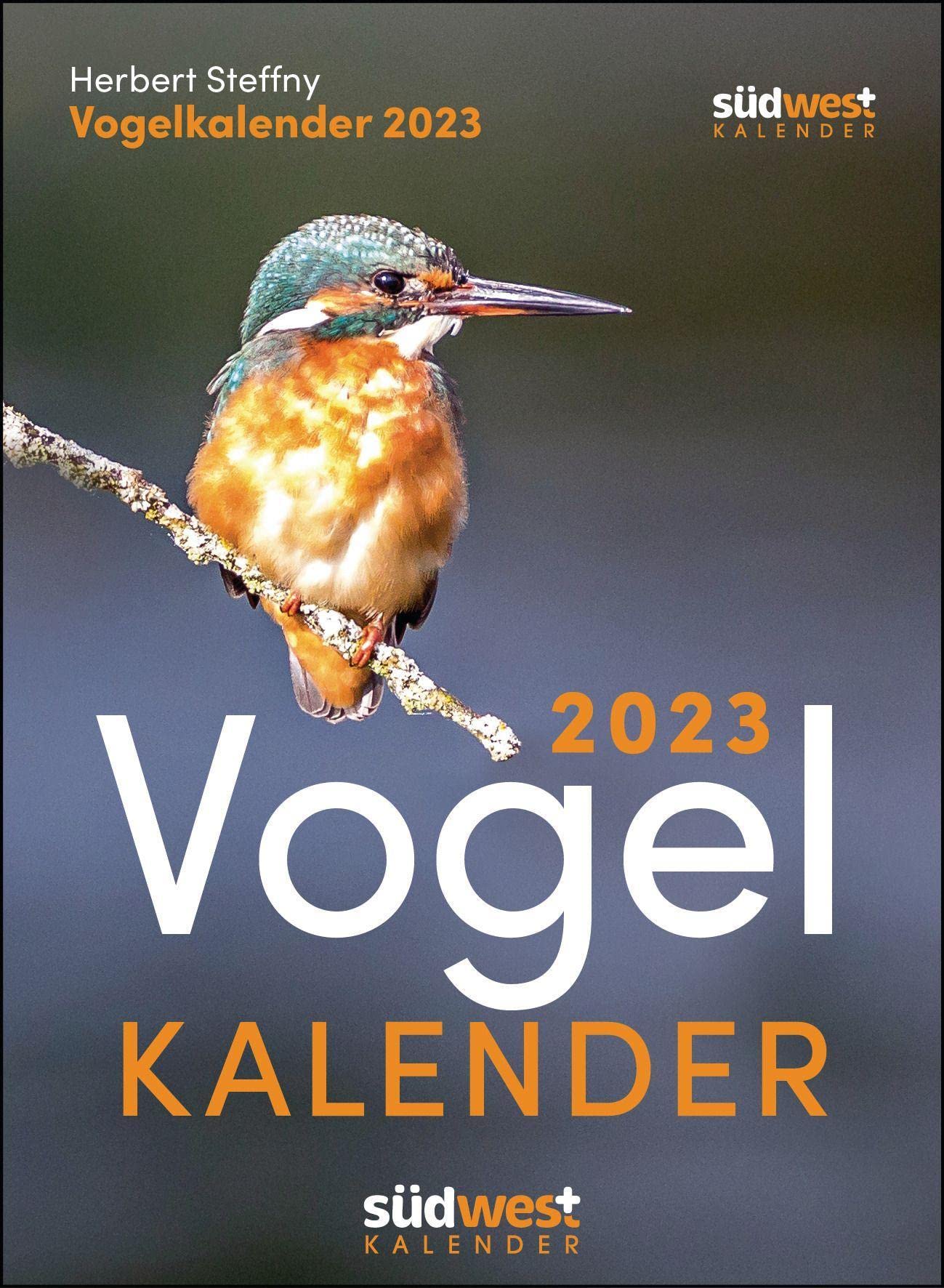 Vogelkalender 2023 - Tagesabreißkalender zum Aufstellen oder Aufhängen Leisure, Home & Garden