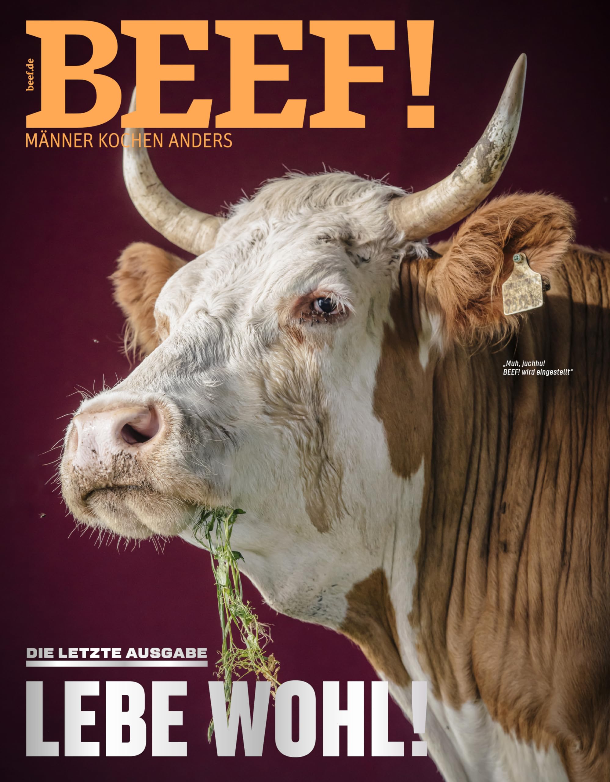 BEEF! Nr. 77 (5/2023) book