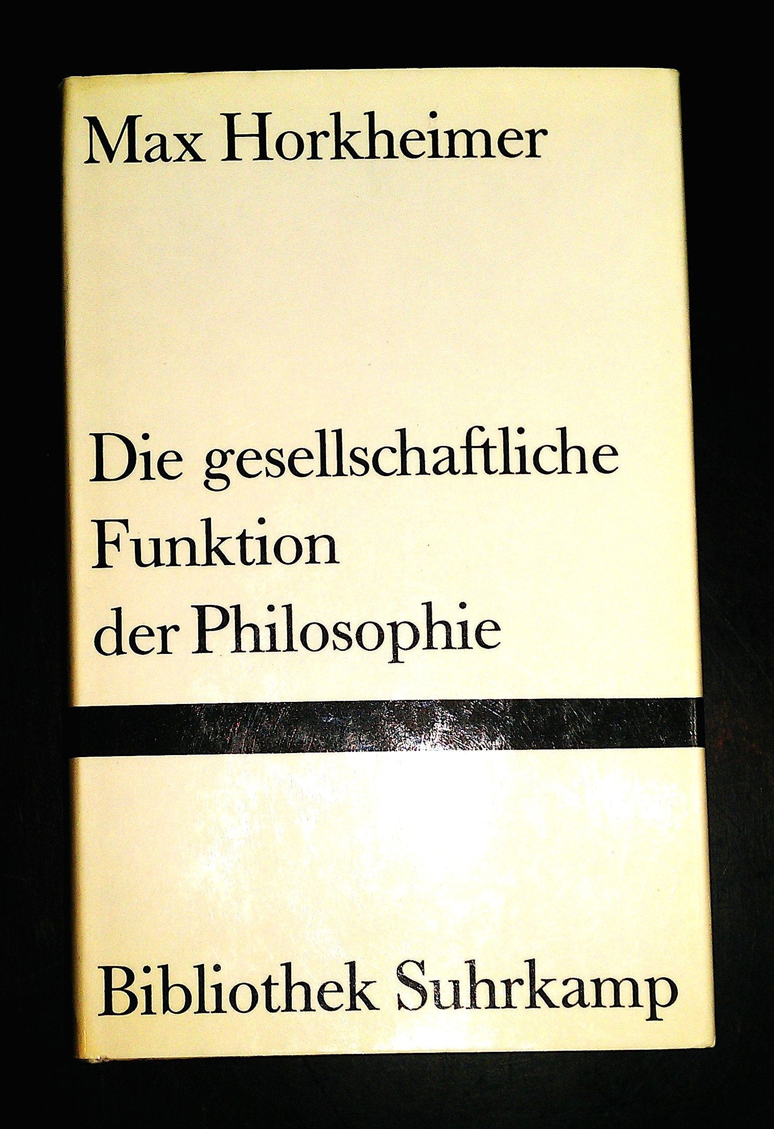 Die gesellschaftliche Funktion der Philosophie. Ausgewählte Essays. Professional & Reference Books