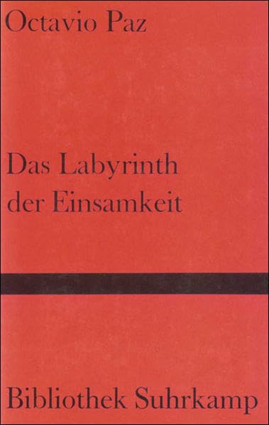 Das Labyrinth der Einsamkeit. Essay Social Sciences Books
