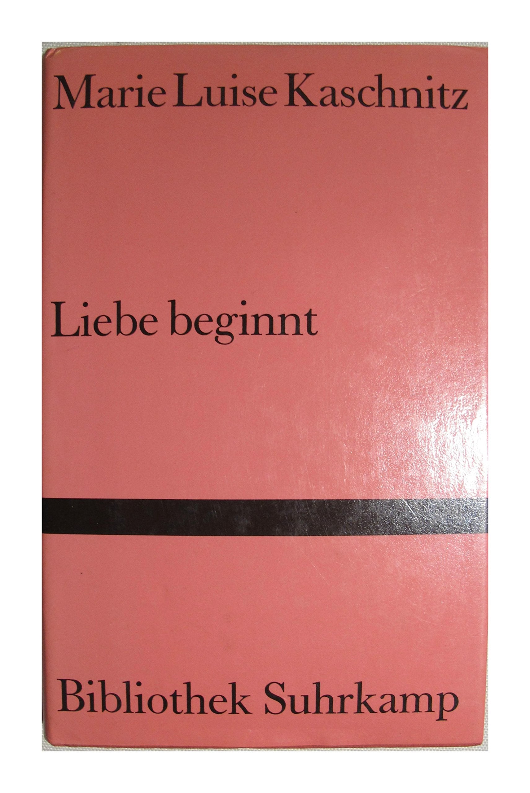 Liebe beginnt: Roman (Bibliothek Suhrkamp) Film, Art & Culture