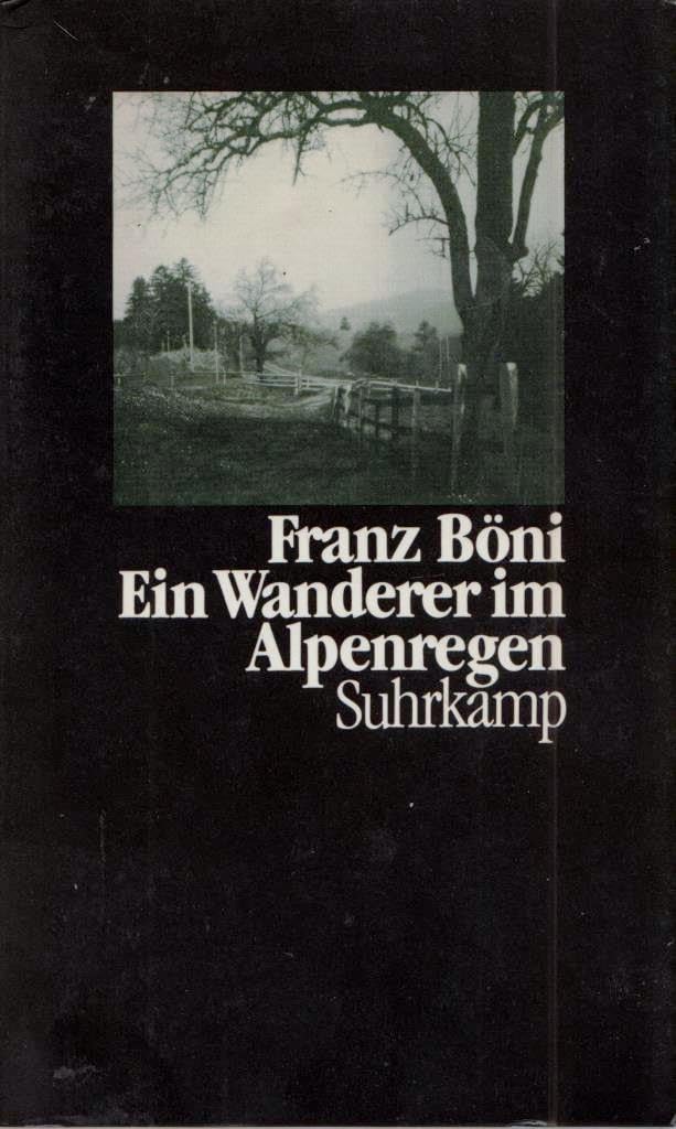 Ein Wanderer im Alpenregen: Erzählungen Books