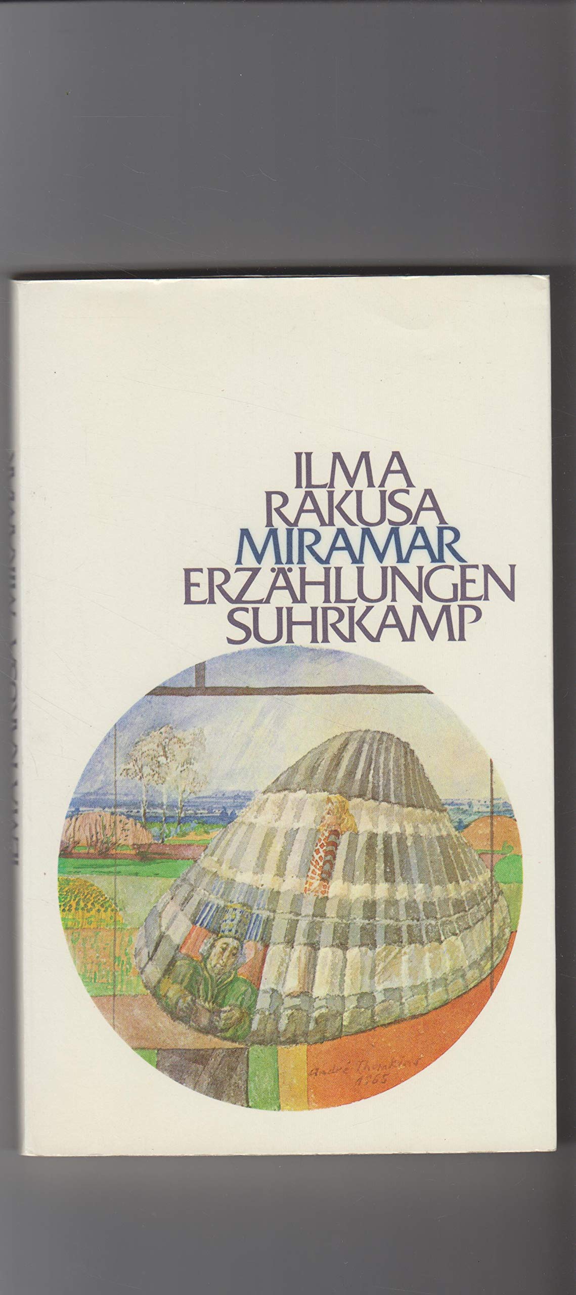 Miramar: Erzählungen Books