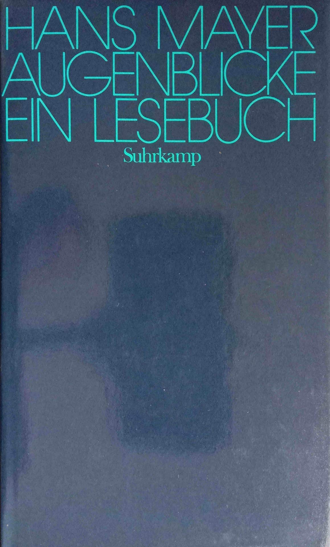 Augenblicke: Ein Lesebuch Contemporary literature Books
