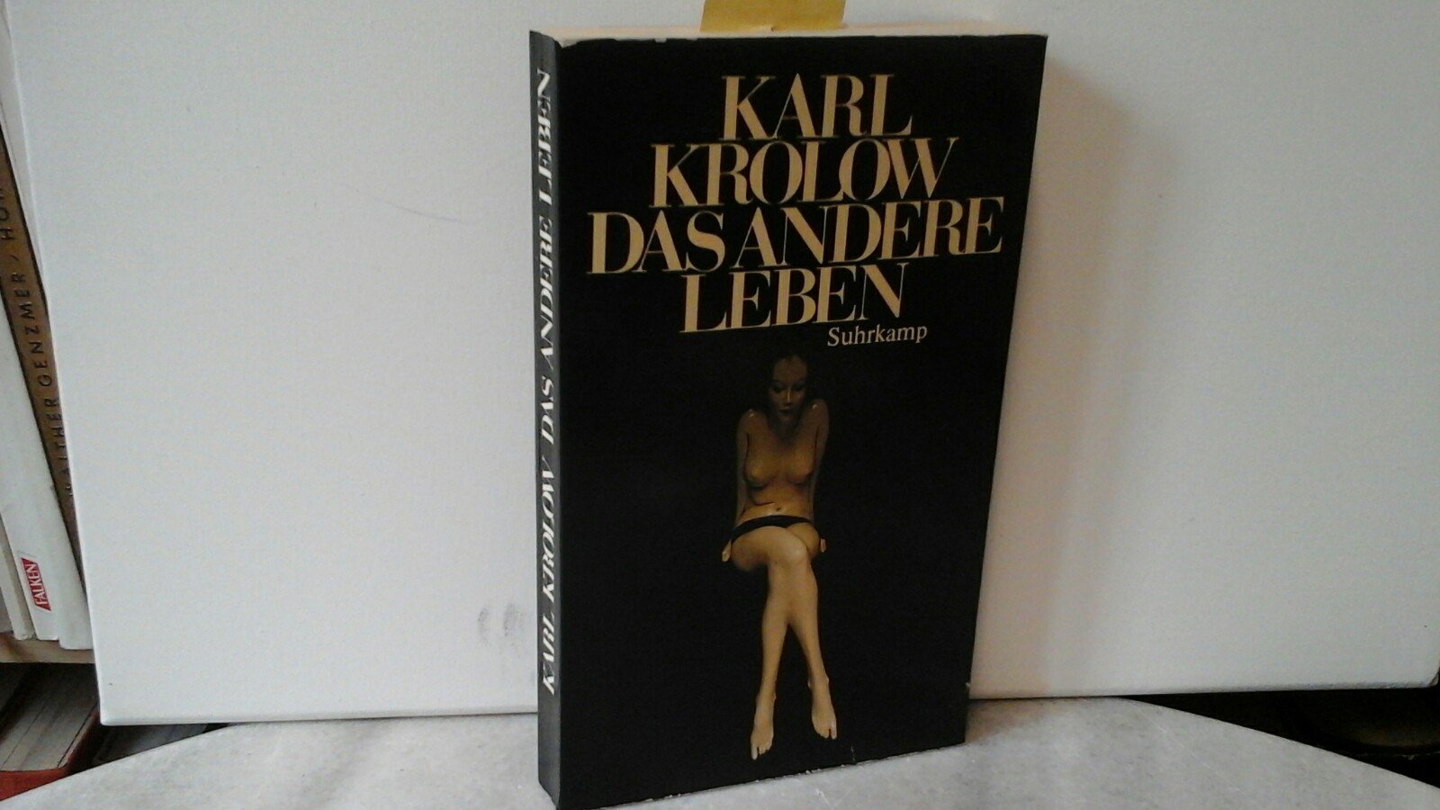 Das andere Leben: Eine Erzählung Books