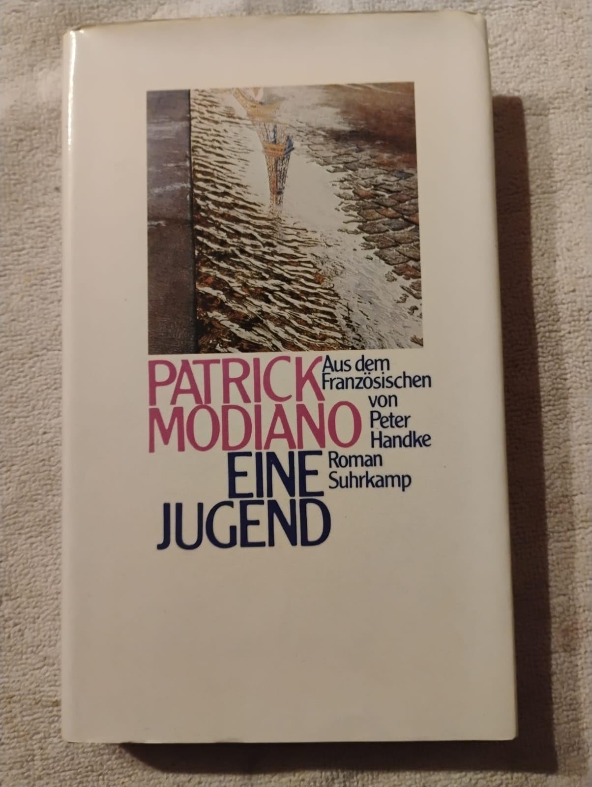 Eine Jugend: Roman Contemporary literature Books