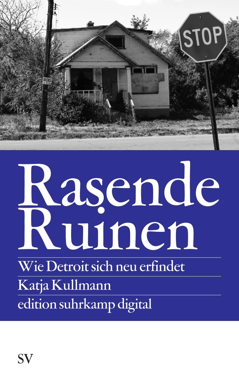 Product Image: Rasende Ruinen