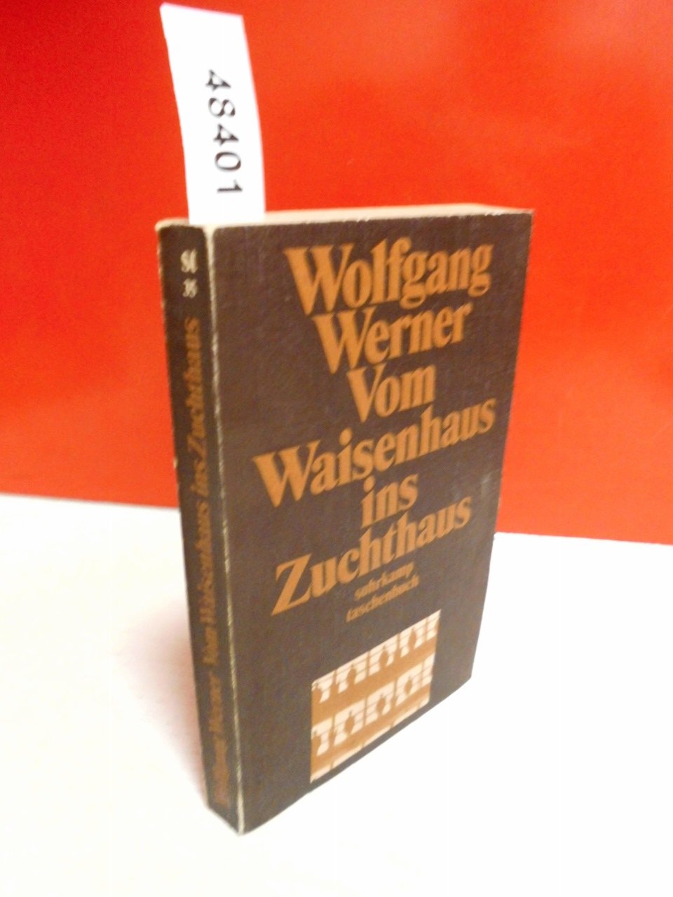 Vom Waisenhaus ins Zuchthaus. Ein Sozialbericht. Social Sciences