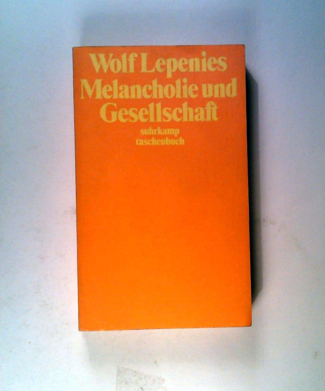 Melancholie und Gesellschaft (suhrkamp taschenbuch, 63) Science