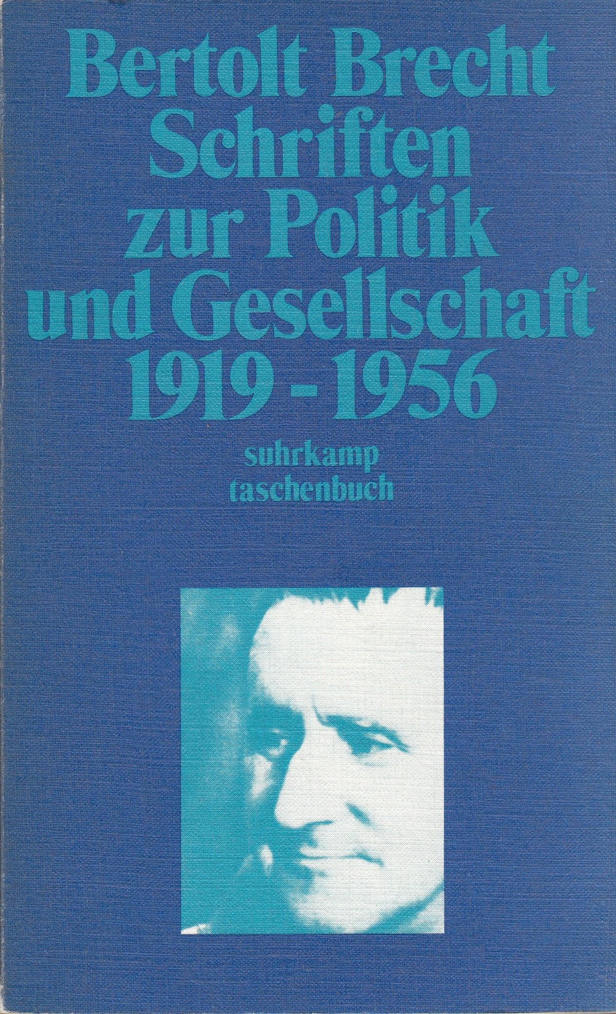 Schriften zur Politik und Gesellschaft 1919-1956 Philosophy