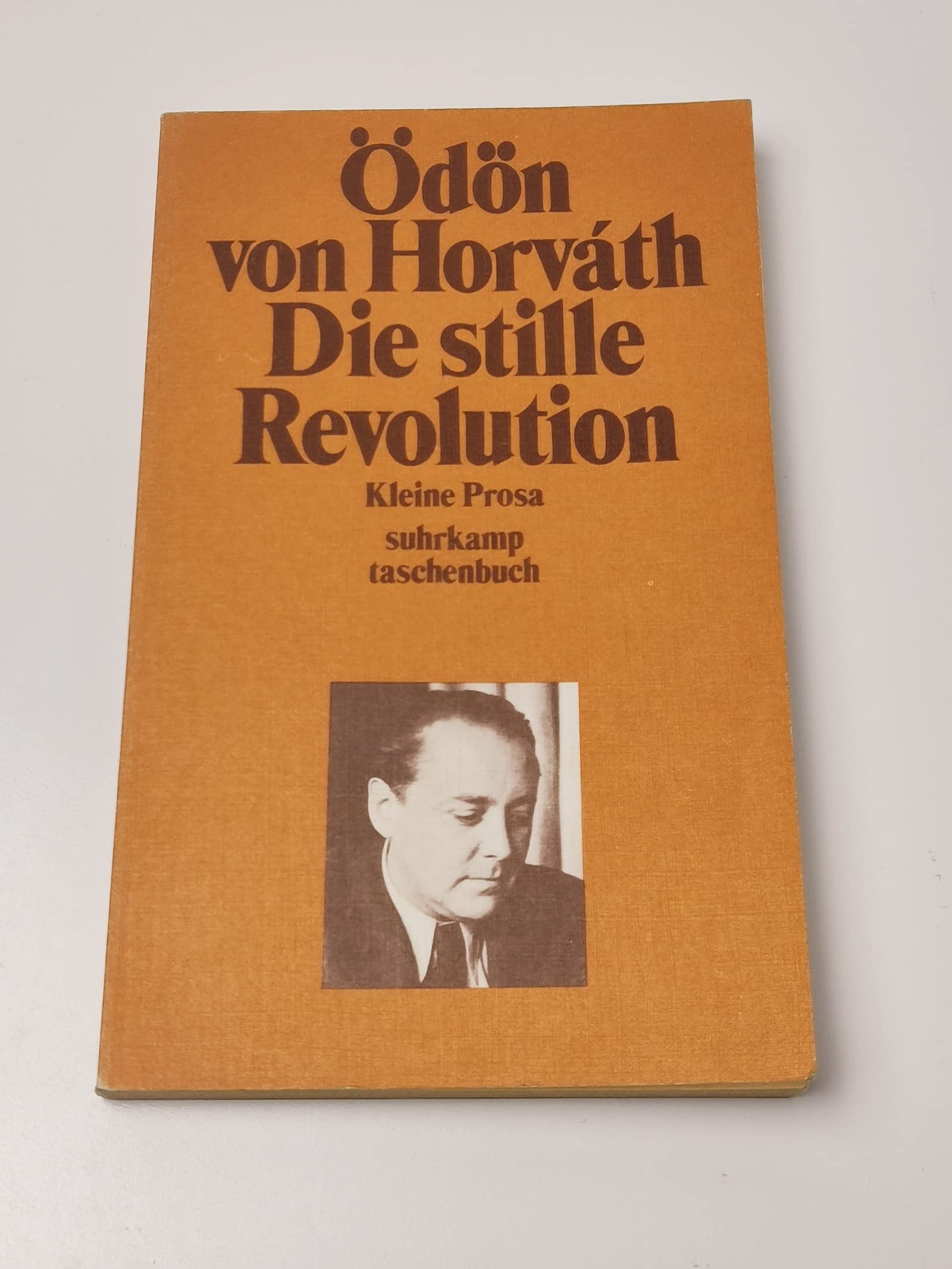 Die Stille Revolution: Kleine Prosa Books