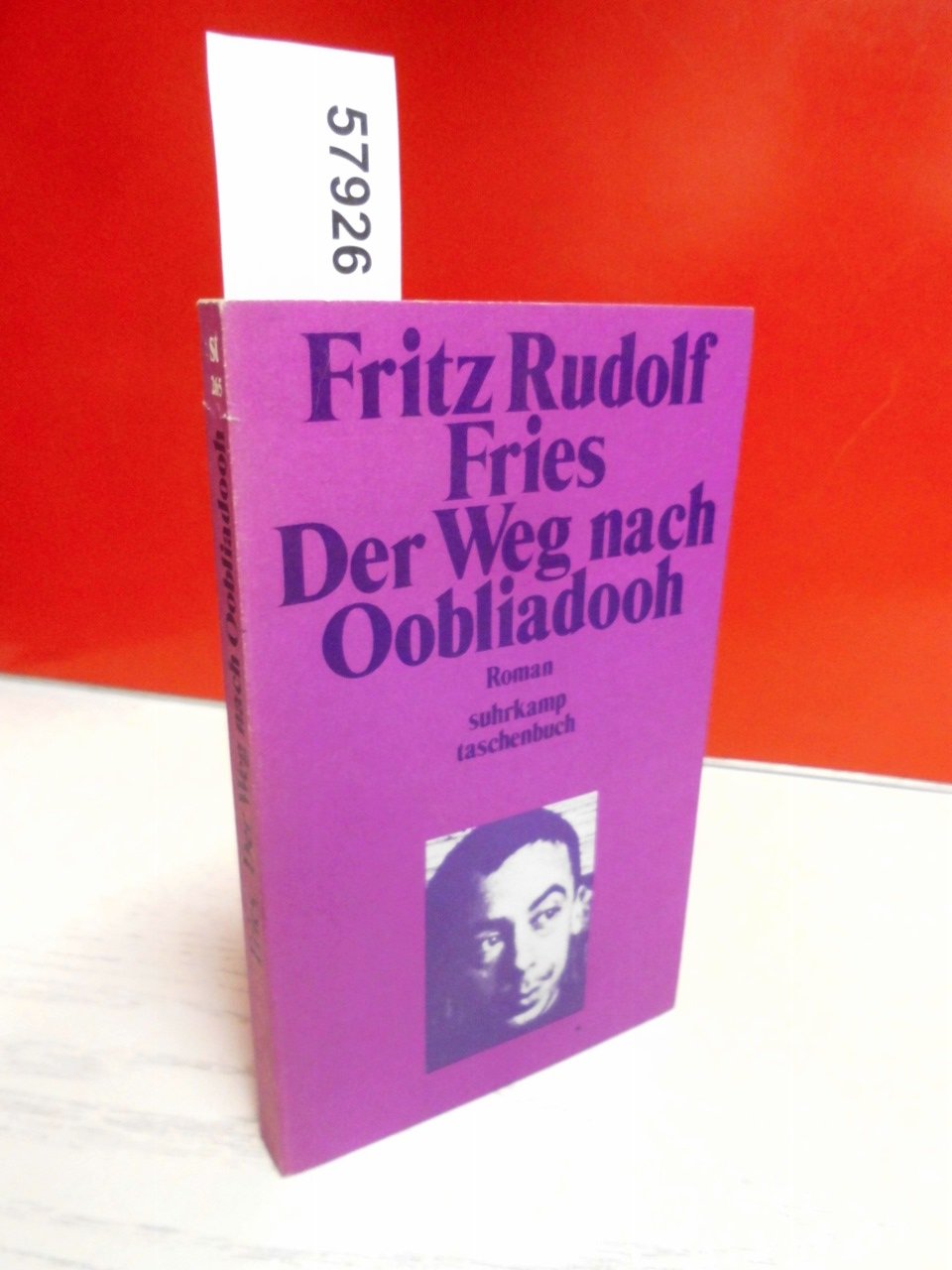 Der Weg nach Oobliadooh: Roman Contemporary literature