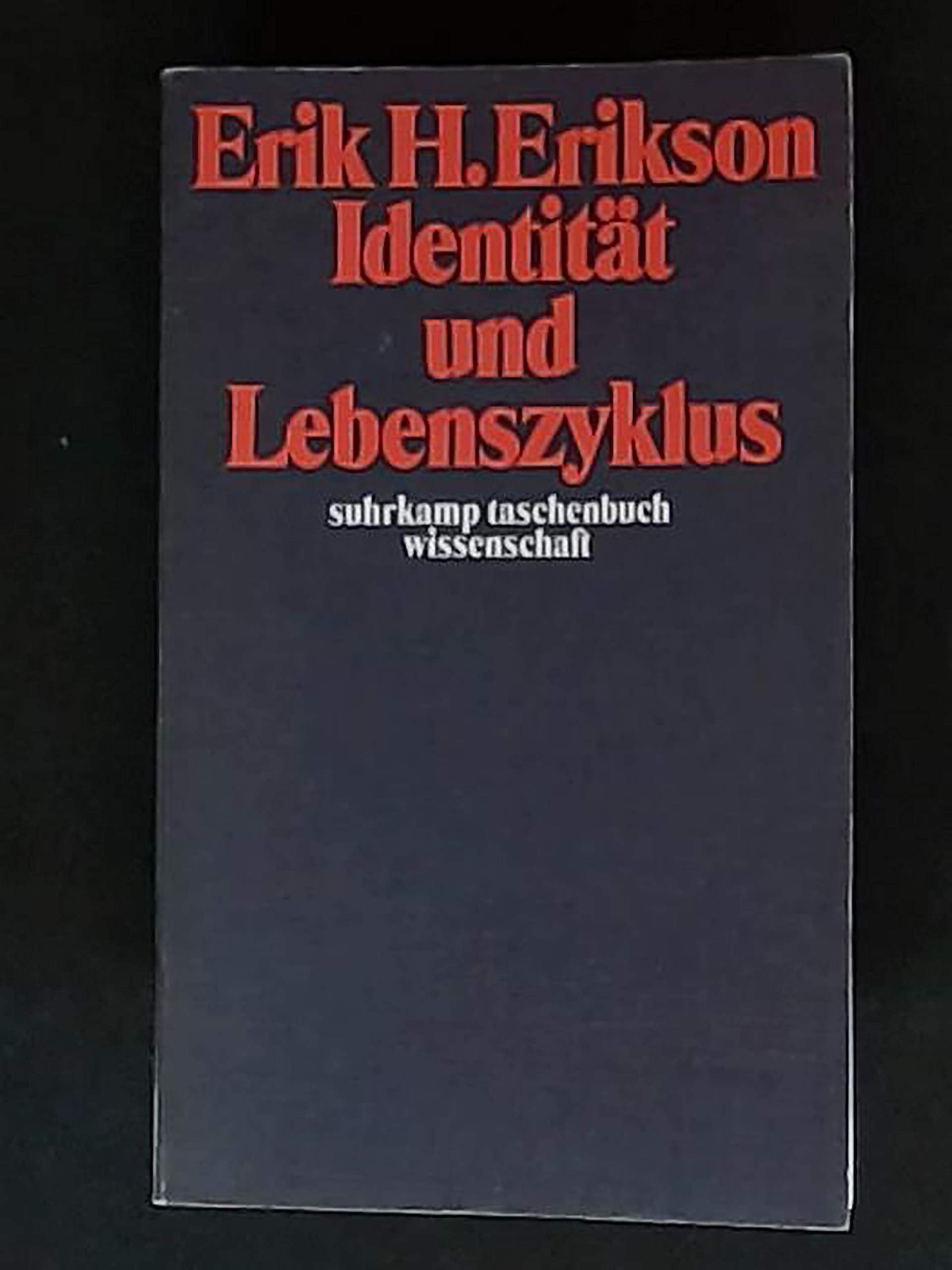 Identität und Lebenszyklus. Drei Aufsätze Books