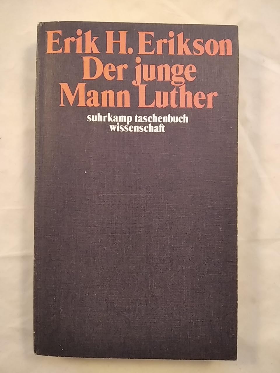 Der junge Mann Luther: Eine psychoanalytische und historische Studie Politics & Society