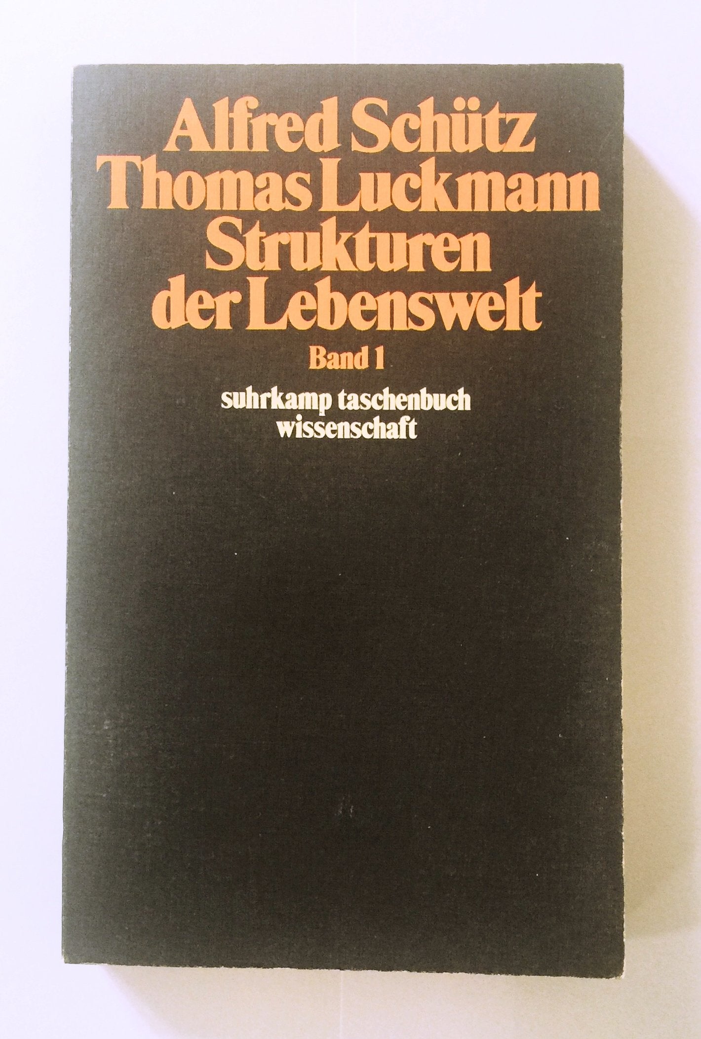 Suhrkamp Taschenbuch Wissenschaft, Nr. 284: Strukturen der Lebenswelt, Band 1 Social Sciences