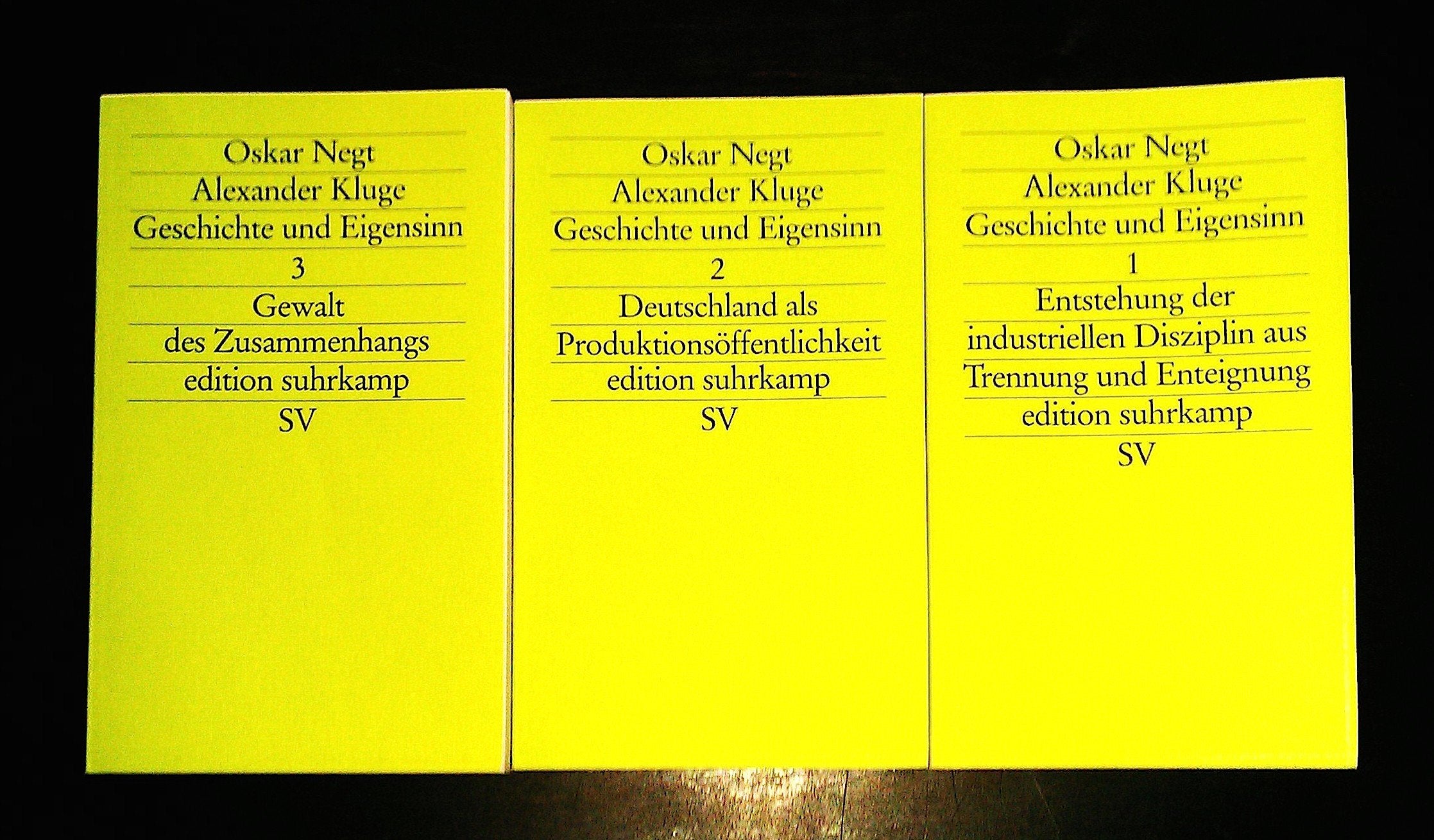 Geschichte und Eigensinn: Band 1: Entstehung der industriellen Disziplin aus Trennung und Enteignung. 'Nester der Erfahrung'. Band 2: Deutschland als ... Gewalt des Zusammenhangs (edition suhrkamp) Contemporary literature Books