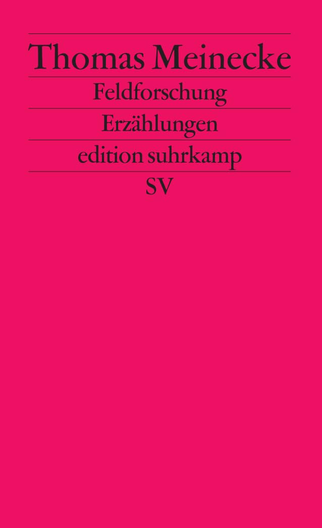 Feldforschung: Erzählungen Essays & Short Stories