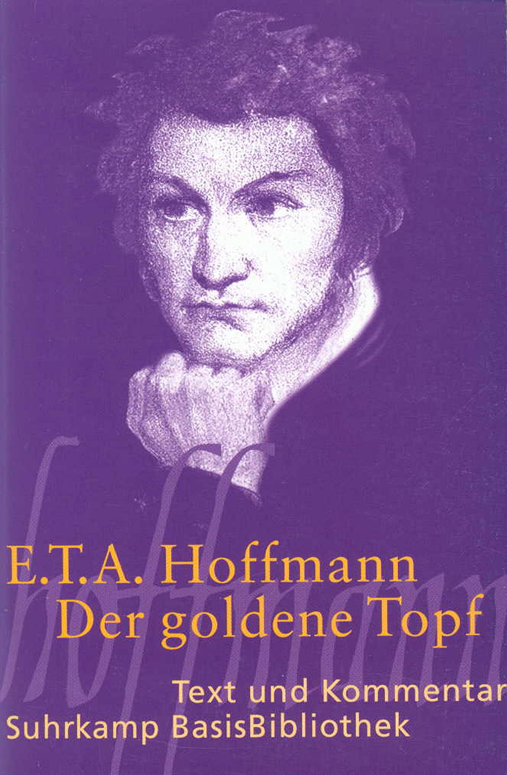 Der goldene Topf. Text und Kommentar Contemporary literature Books