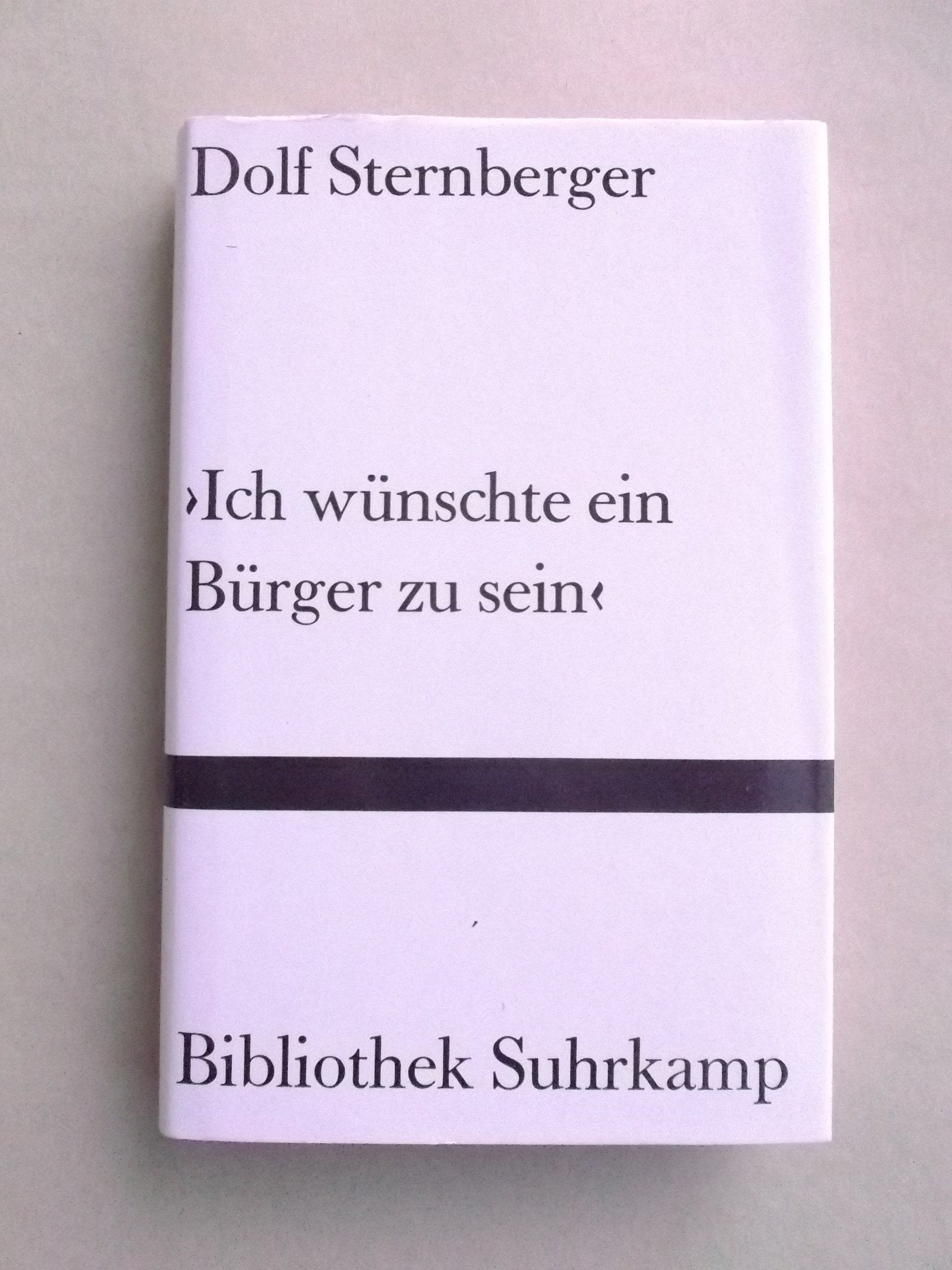 Ich wünschte ein Bürger zu sein: Neun Versuche über den Staat (Bibliothek Suhrkamp) Social Sciences