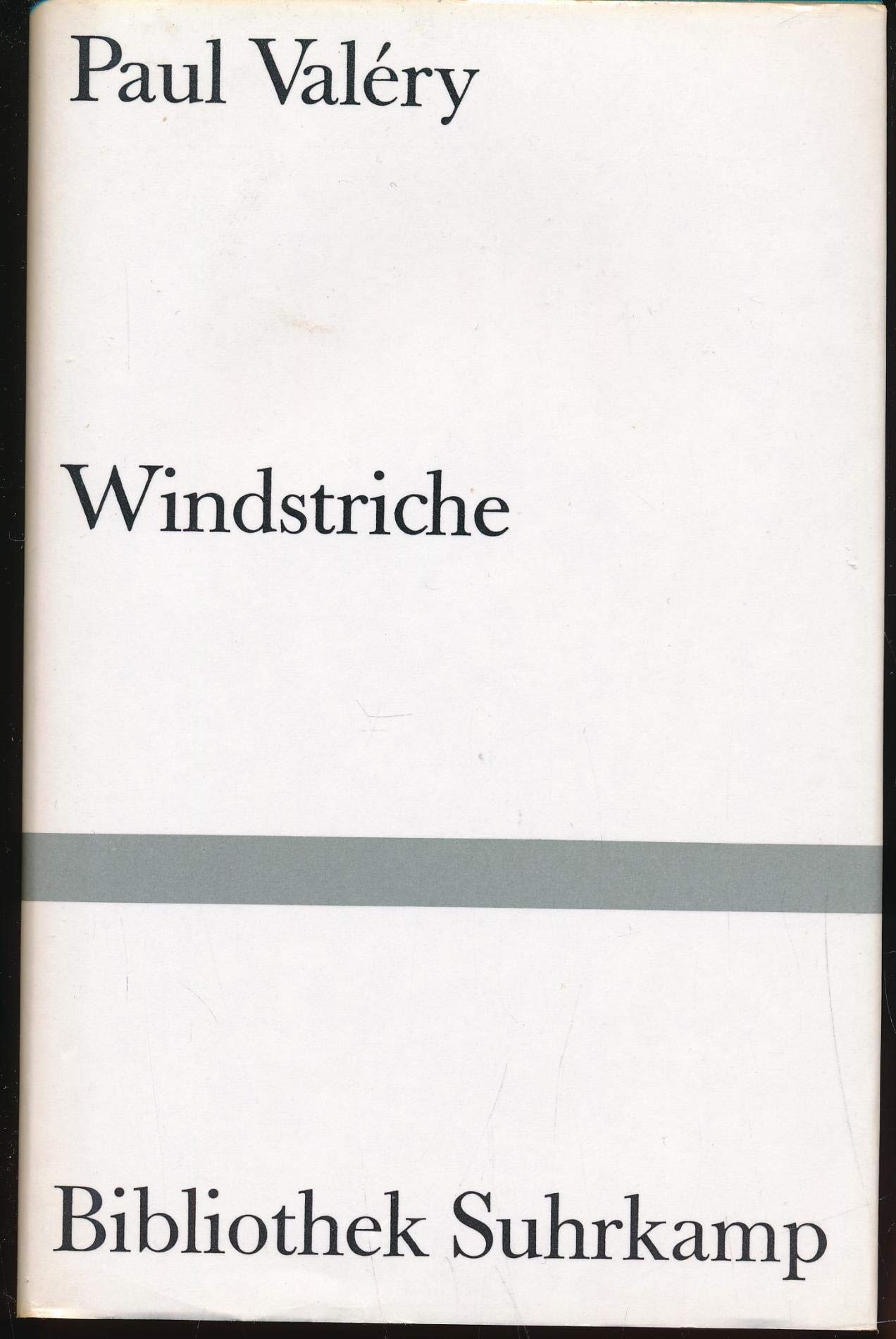Windstriche. Aufzeichnungen und Aphorismen Contemporary literature